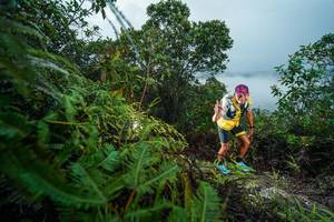 BIB: 
                            <button type="button" onclick="openModal(26196905)" class="btn btn-primary btn-sm float-right btn-popup" data-toggle="modal" data-target=".modal-high-quality">
                        <i class="fas fa-shopping-cart"></i> Add to Cart
                    </button>
                                            <button type="button" onclick="isThisMe(26196905, true)" class="btn btn-success btn-sm float-right btn-popup btn-isme hidden" data-toggle="tooltip" data-placement="bottom" title="นี่คือรูปของคุณใช่ไหม คลิกที่นี่เพื่อเอาเข้าอัลบั้ม">
                        <i class="fas fa-plus"></i> Add to album
                    </button>
                    <button type="button" onclick="isThisMe(26196905, false)" class="btn btn-warning btn-sm float-right btn-popup btn-isnotme hidden">
                        <i class="fas fa-ban"></i> Remove from album
                    </button>